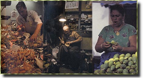 A. A. / F. C. / A. A.