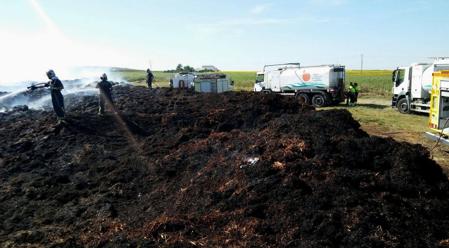 Bomberos de El Puerto y Jerez sofocan un incendio en el Camino Viejo de Rota