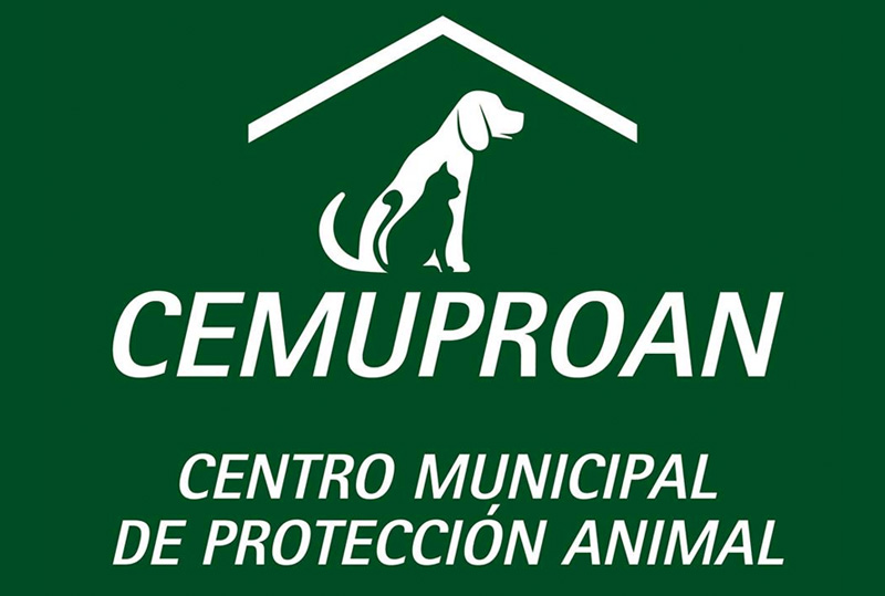 El Centro Municipal de Protección Animal estrena web con la información de los animales en adopción