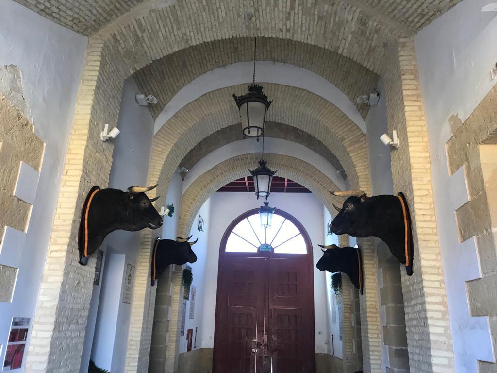Limpiadas cuatro de las seis cabezas de toros situadas en el cañón de la Plaza de Toros