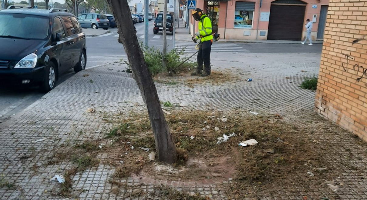 Medio Ambiente avanza en la campaña de desbroce de espacios urbanos de El Puerto, a tiempo completo