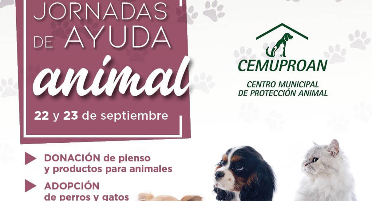 Medio Ambiente instalará una carpa en El Paseo para potenciar las adopciones de los perros y gatos que acoge el Cemuproan