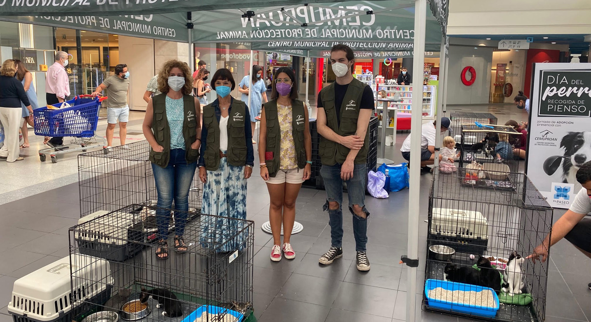 El Paseo organiza dos jornadas de adopción de mascotas en colaboración con el Centro Municipal de Protección Animal