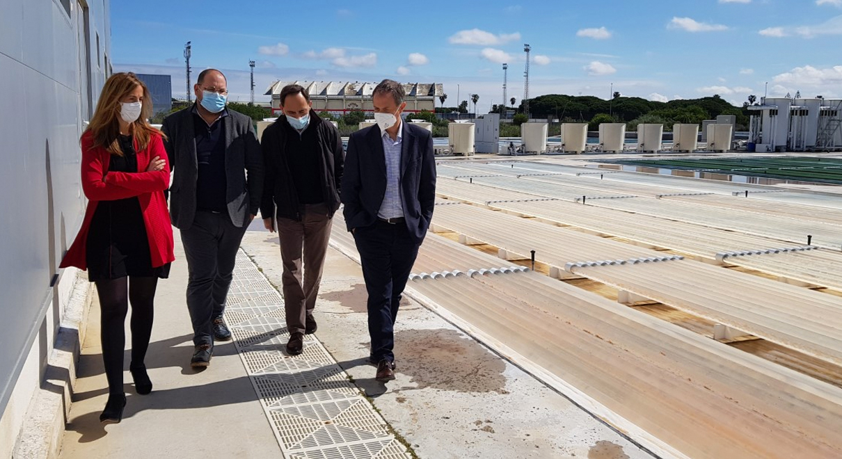 Bello destaca la excelencia alcanzada por Fitoplancton Marino SL, empresa que lidera mundialmente el desarrollo del cultivo de microalgas marinas