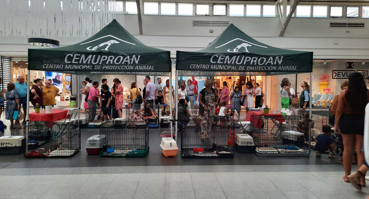 El Puerto continúa trabajando para una tenencia responsable de mascotas, por el bienestar animal y el sacrificio cero