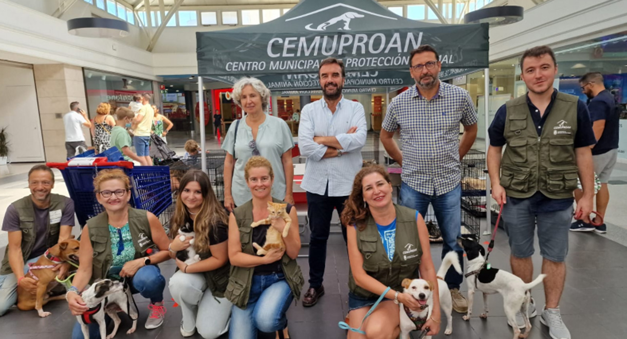 Tres días del Cemuproan en El Paseo se traducen en 35 adopciones y nuevos hogares para los perros y gatos abandonados de El Puerto