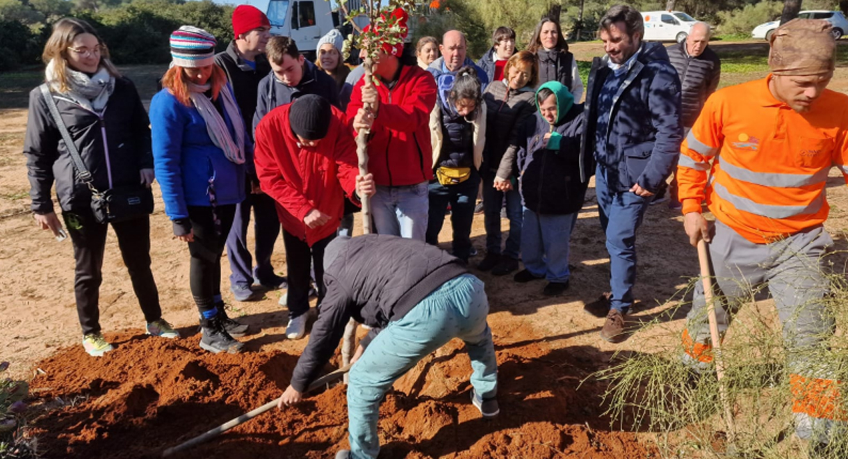 El Puerto celebra el día de la Educación Ambiental repoblando con Afanas el Pinar de Coig e instalando casetas para la cría de aves