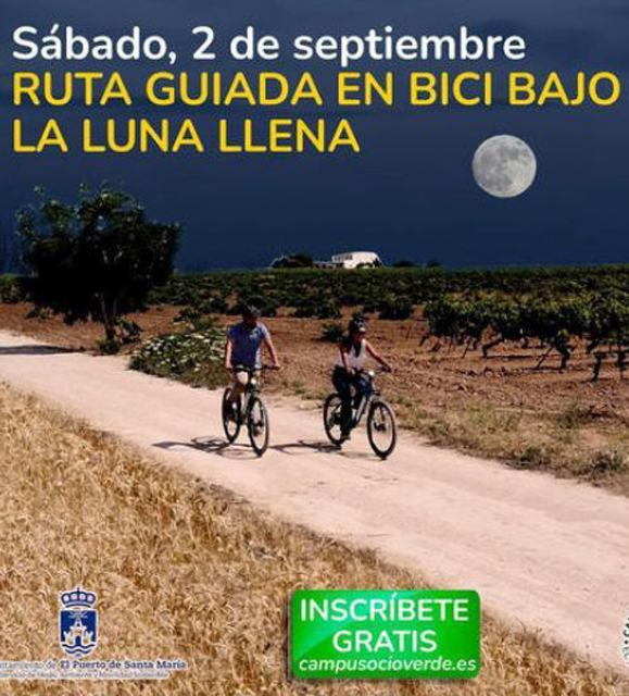 Ruta en Bici bajo la luz de la luna llena y entre viñas