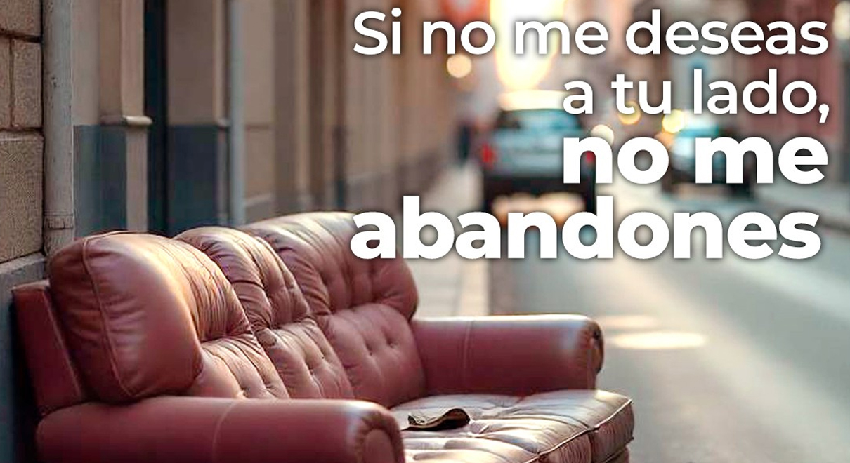 El Ayuntamiento de El Puerto mejora el servicio de atención ciudadana del Servicio de Recogida de Muebles y Enseres