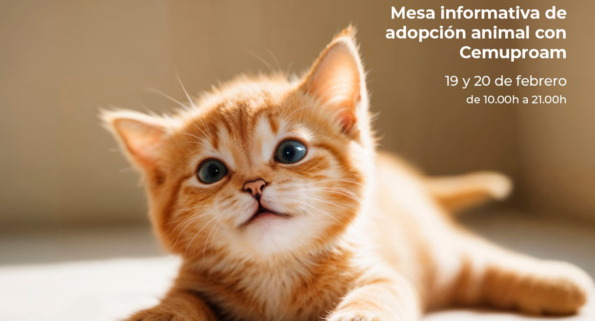 El Cemuproan pone en marcha los días 19 y 20 unas Jornadas de Adopción de Gatitos en el Centro Comercial El Paseo