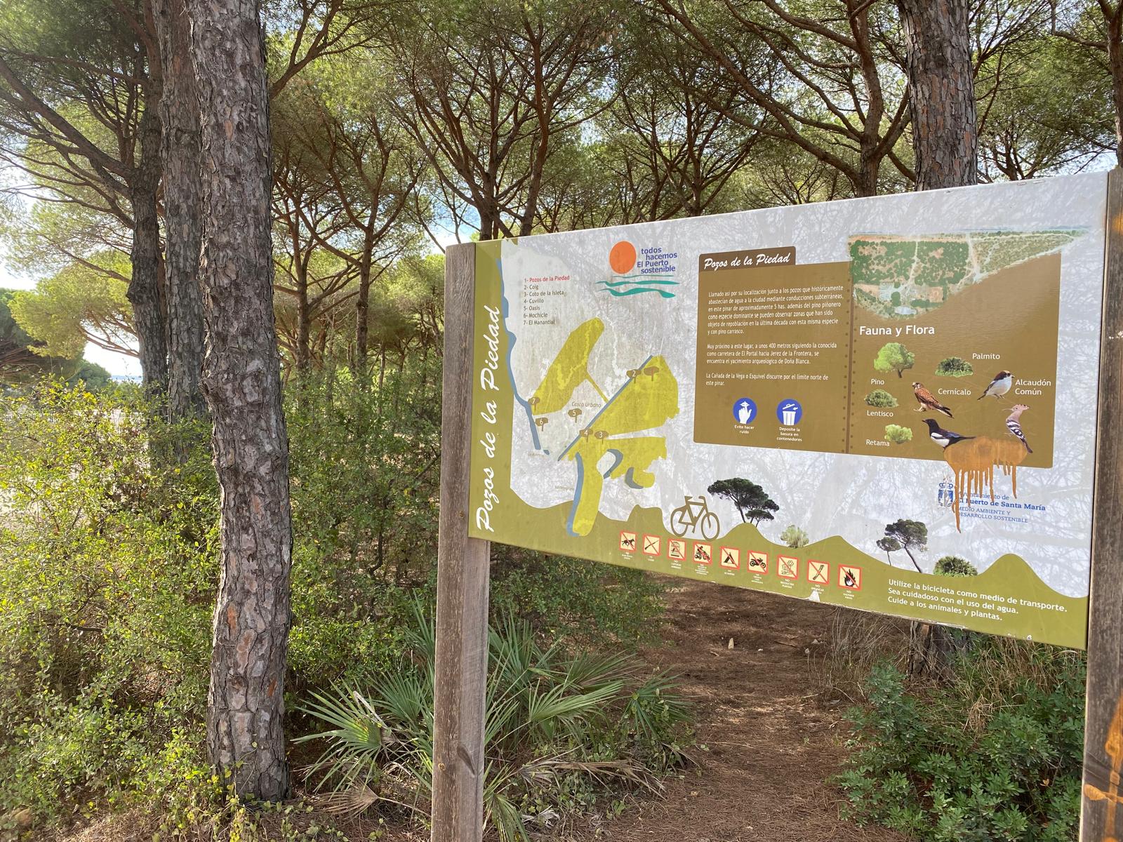 El Puerto de Santa María se suma a la reforestación con la iniciativa 'Un niñ@, un árbol'