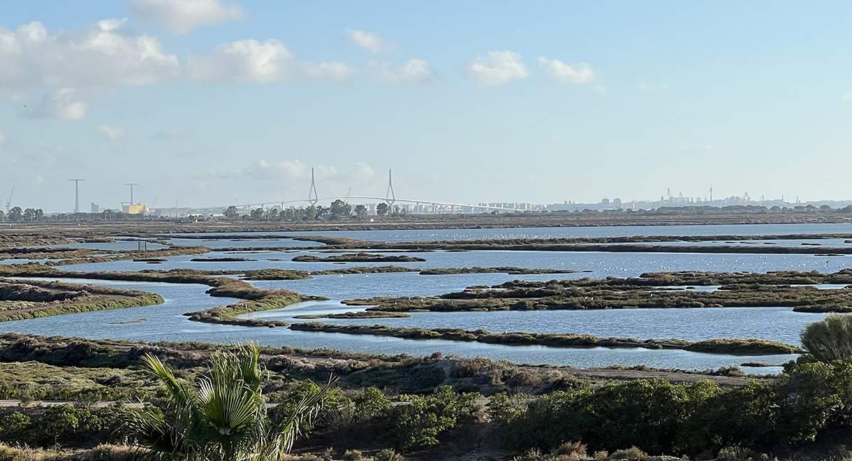 El Puerto de Santa María cuenta con un innovador Observatorio de Turismo El Puerto de Santa María cuenta con un innovador Observatorio de Turismo