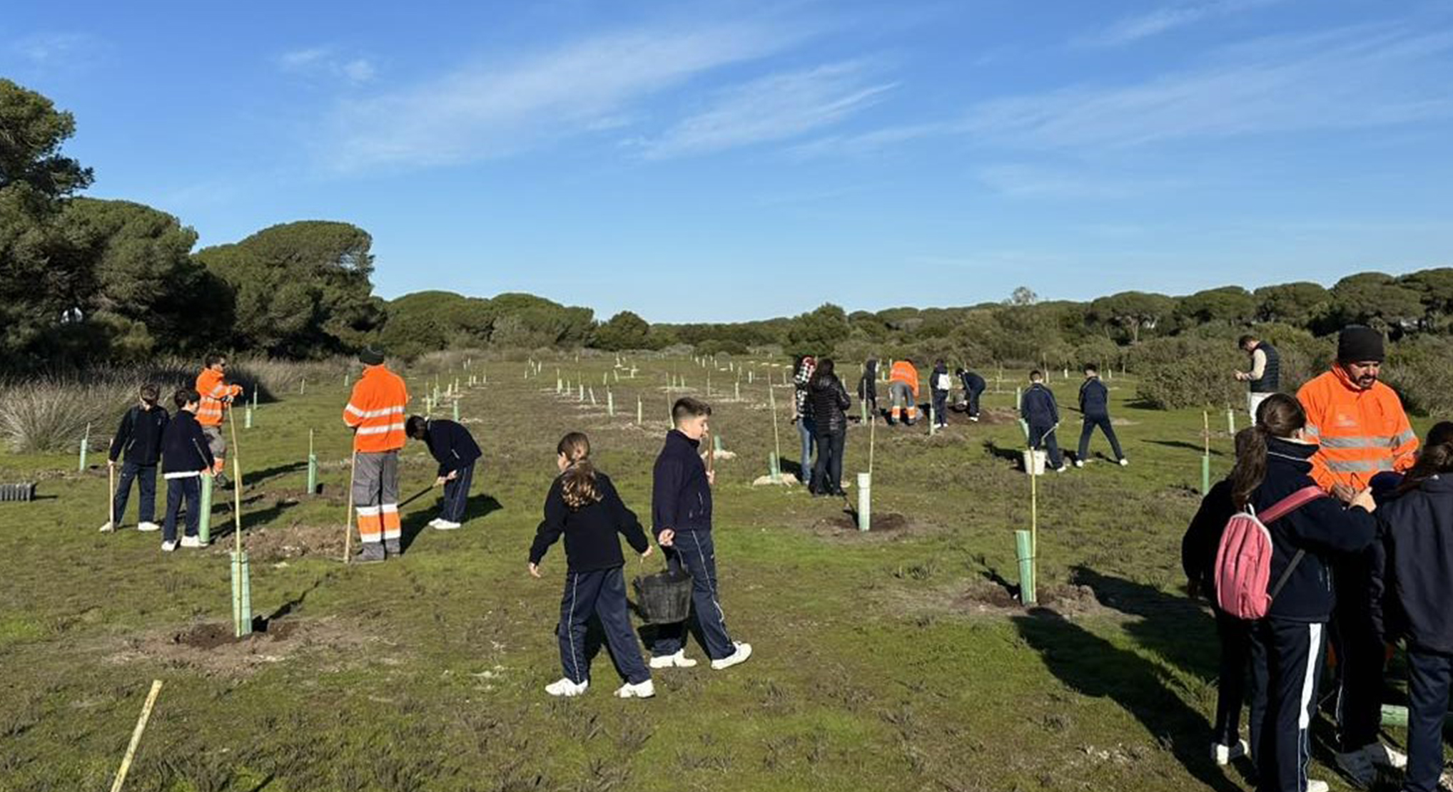 El Puerto plantará 4700 nuevos árboles y arbustos este año