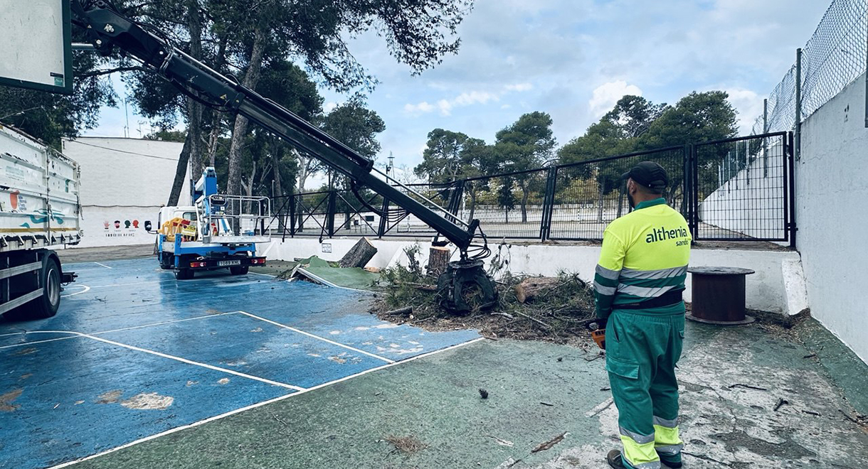 El Consistorio inicia la poda y el mantenimiento del arbolado de los colegios portuenses El Consistorio inicia la poda y el mantenimiento del arbolado de los colegios portuenses