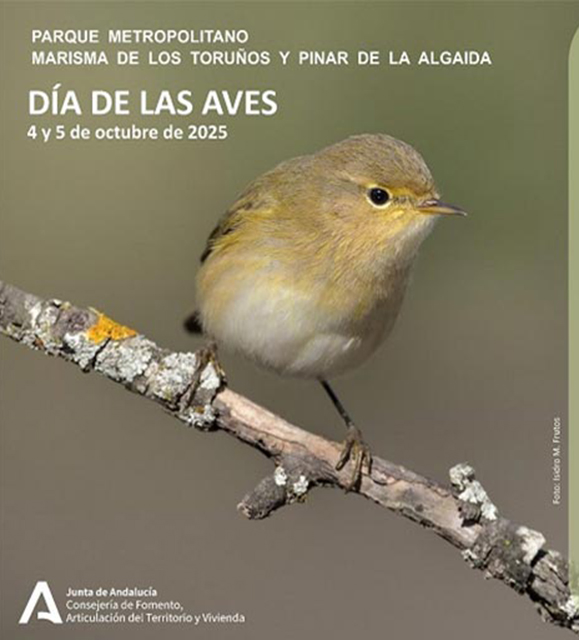 Día Mundial de las Aves