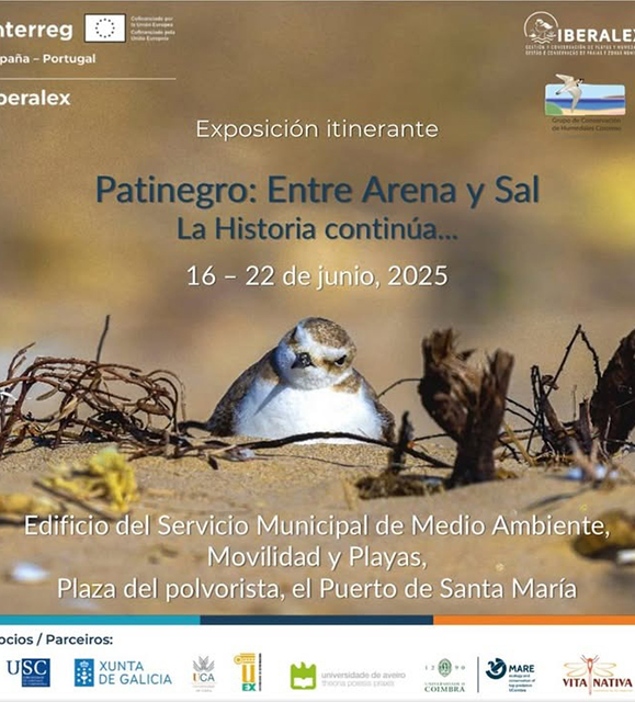 Taller de Patinaje