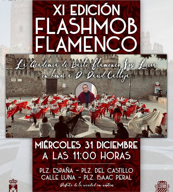Navidad 2025 · Flashmob Flamenco