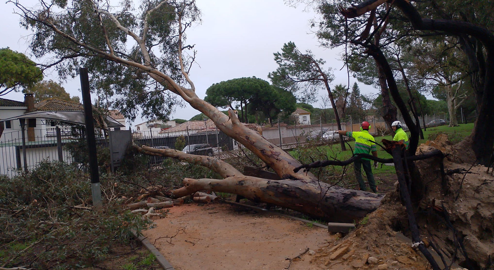 El Ayuntamiento activa la primera fase del Plan de Adecuación de Espacios Públicos tras los temporales