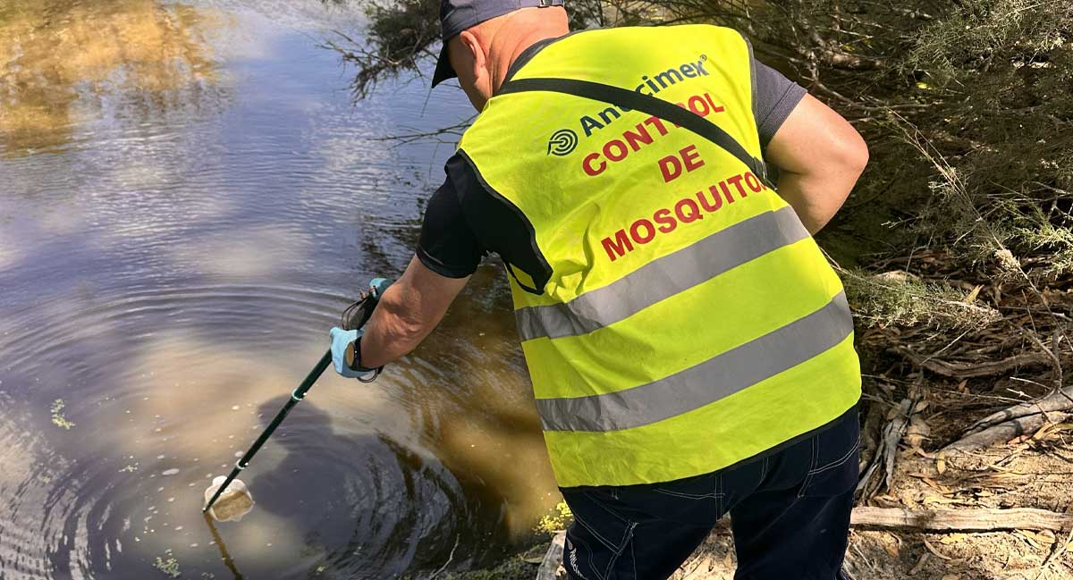 El Ayuntamiento refuerza la vigilancia y el control preventivo frente a los mosquitos en la zona de Campiña-Serrano