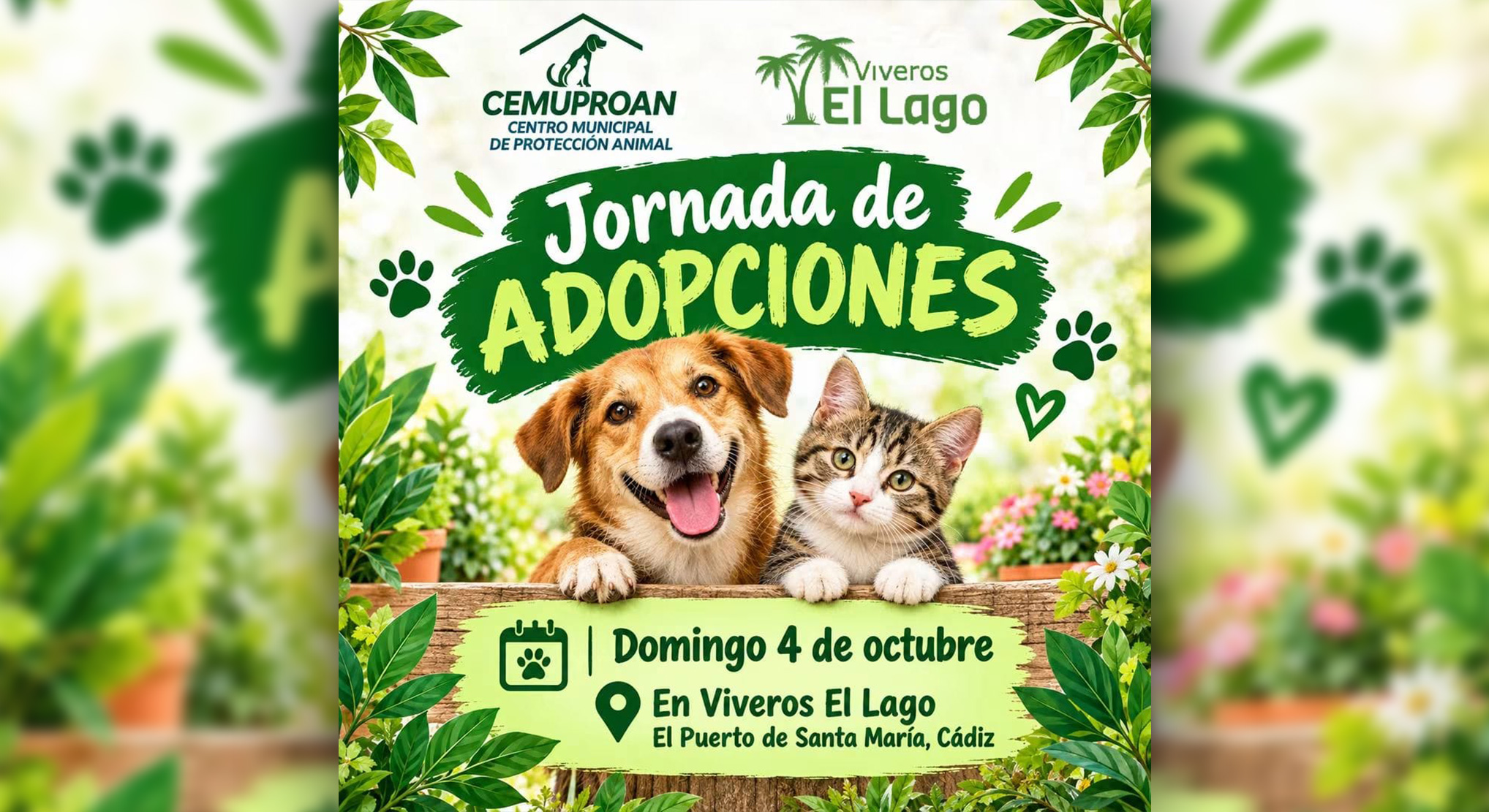 El Cemuproan pone en marcha el domingo 4 una Jornada de Adopciones de perros y gatos en Viveros El Lago