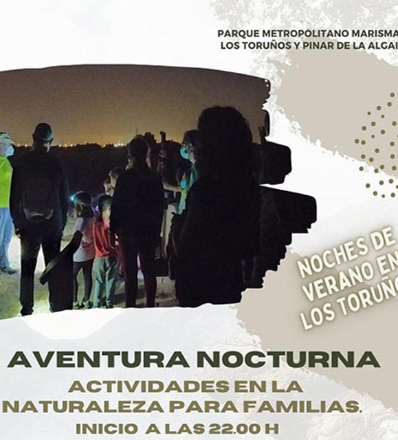 Actividades en la naturaleza para familias. Antrópodos: los duendes de la noche