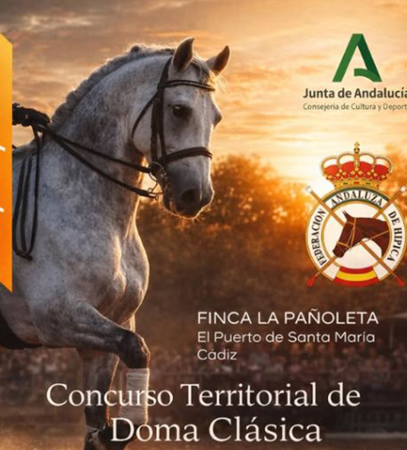 Concurso Territorial de Doma Clásica
