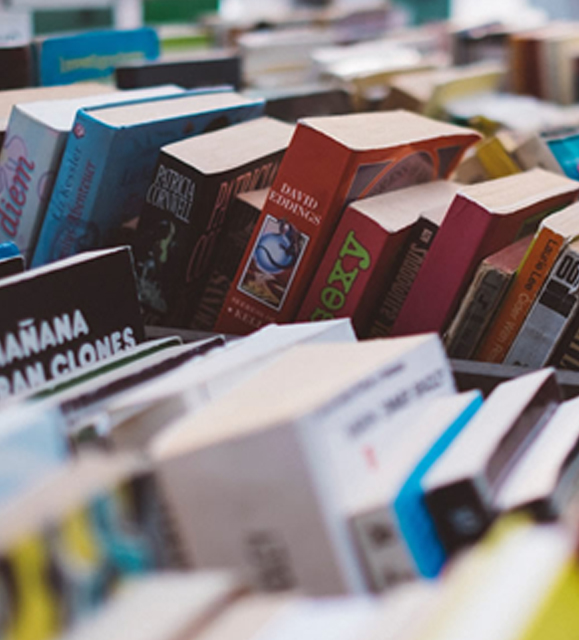 Mercadillo de Intercambio de Libros