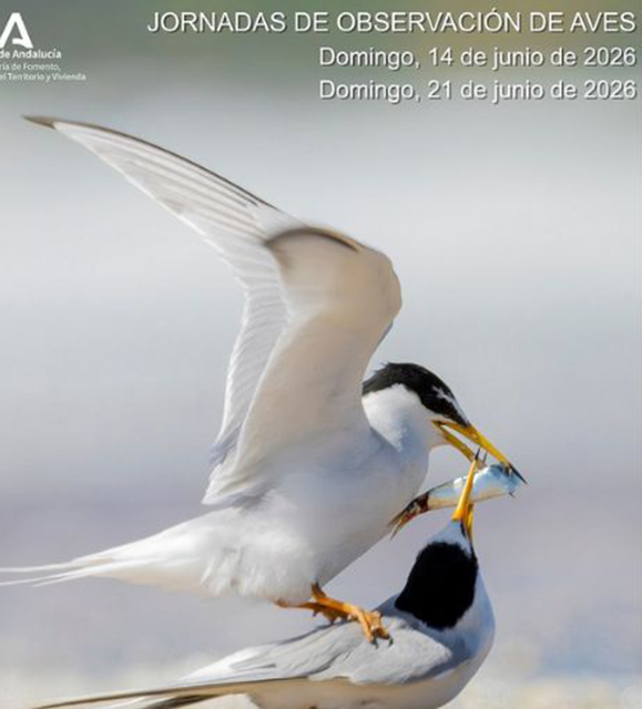 Jornadas de Observación de Aves