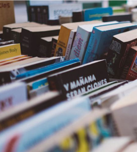 Mercadillo de Intercambio de Libros
