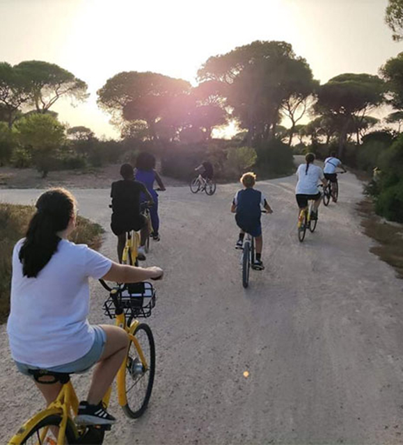 Ruta Histórica en Bicicleta. Los Toruños y pinar de la Algaida