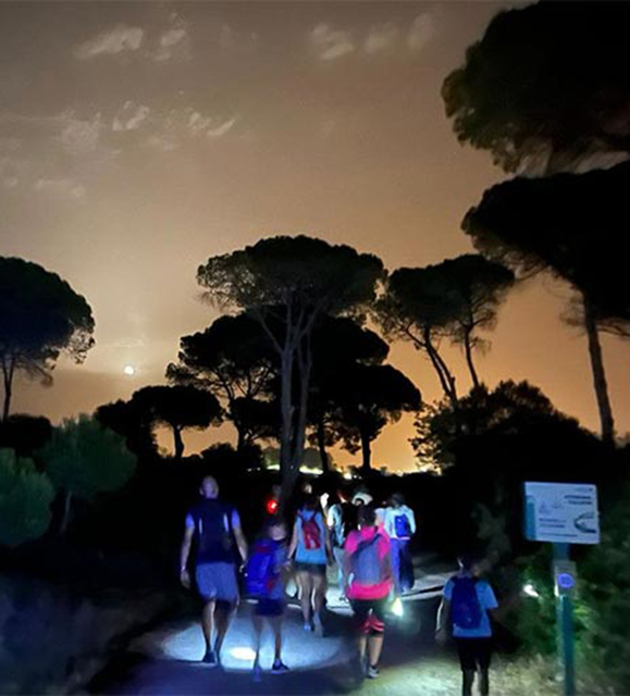 Ruta Nocturna Luna Llena en Los Toruños y Pinar de la Algaida